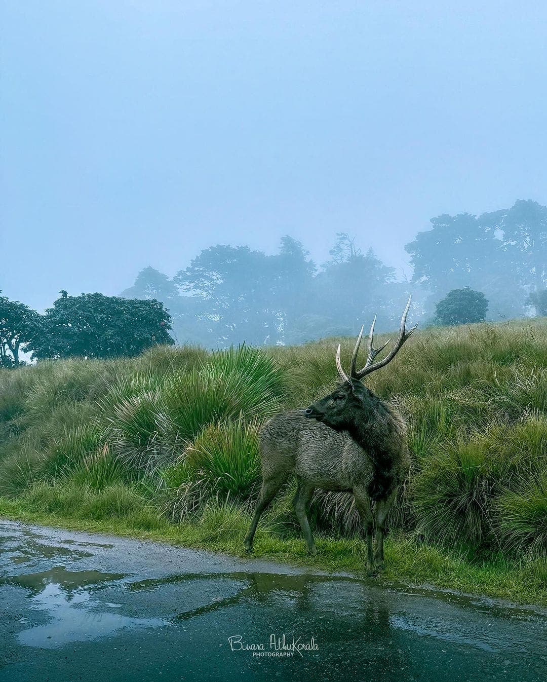 Horton Plains National Park