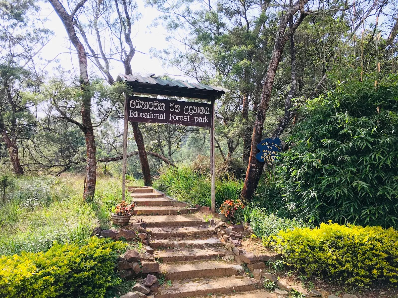 Kandela Educational Forest Park